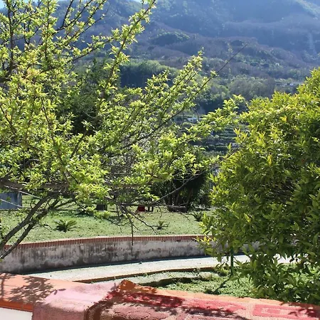Villa Florek *