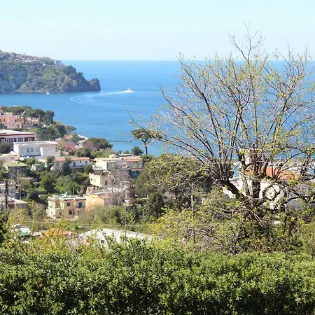 Villa Florek Ischia